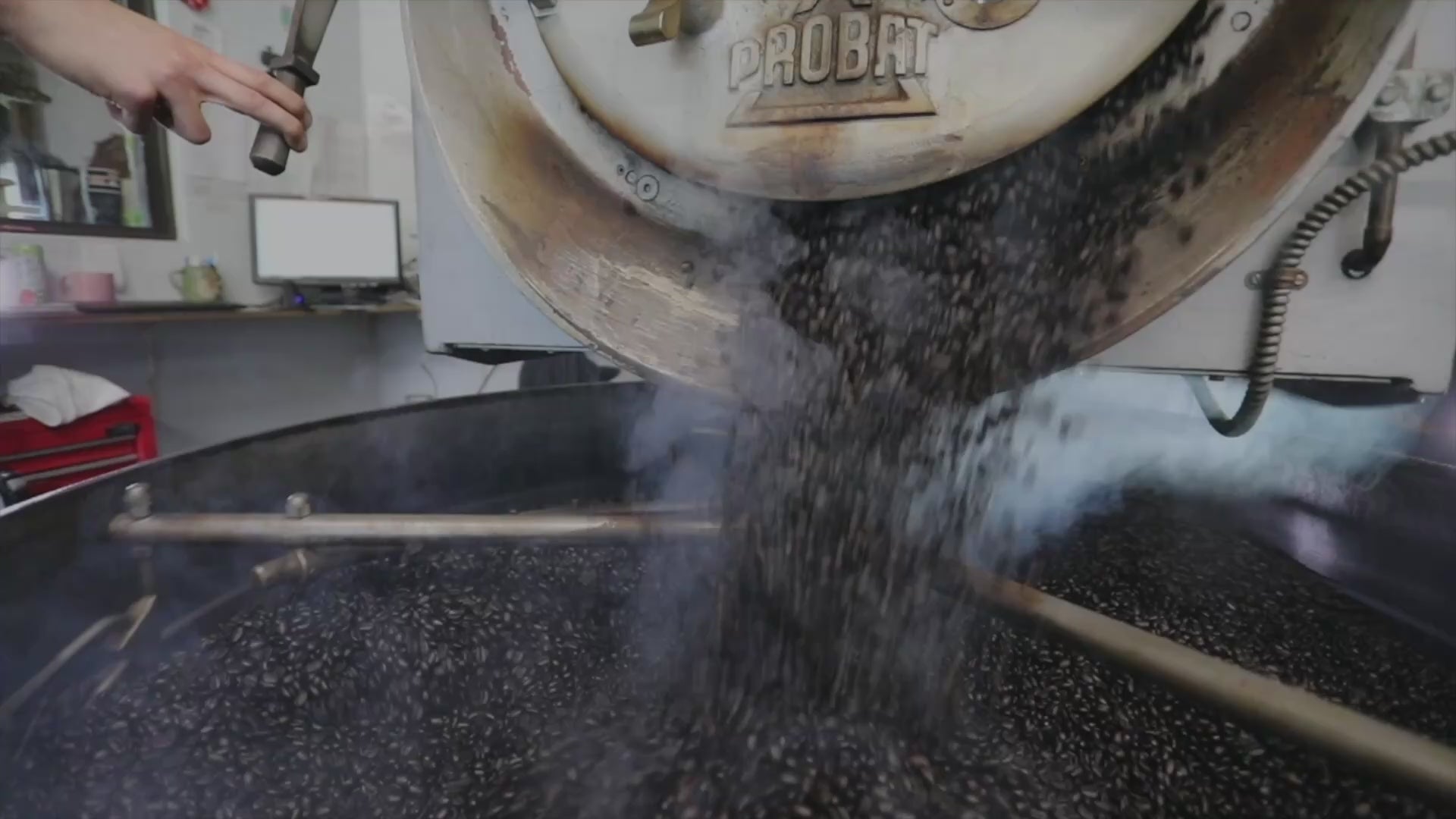 best espresso beans toronto